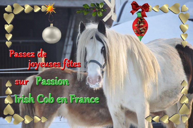 Votez pour votre montage de Noël préféré ! Noel_c10