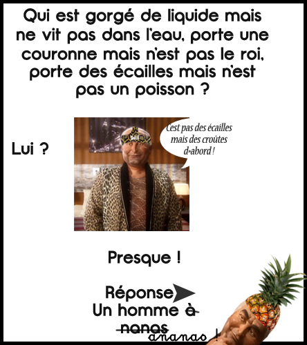 Les croûtes du forum !! - Page 7 Ananas11