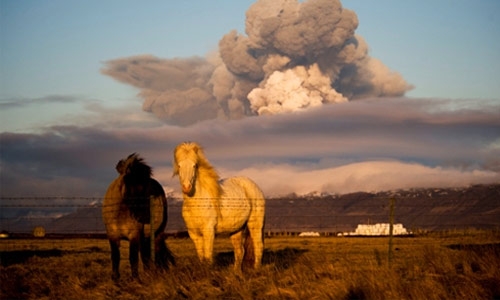 Record d'activité volcanique... Volcan10