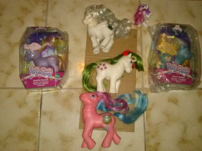 Cerco pony!!! Cam00210