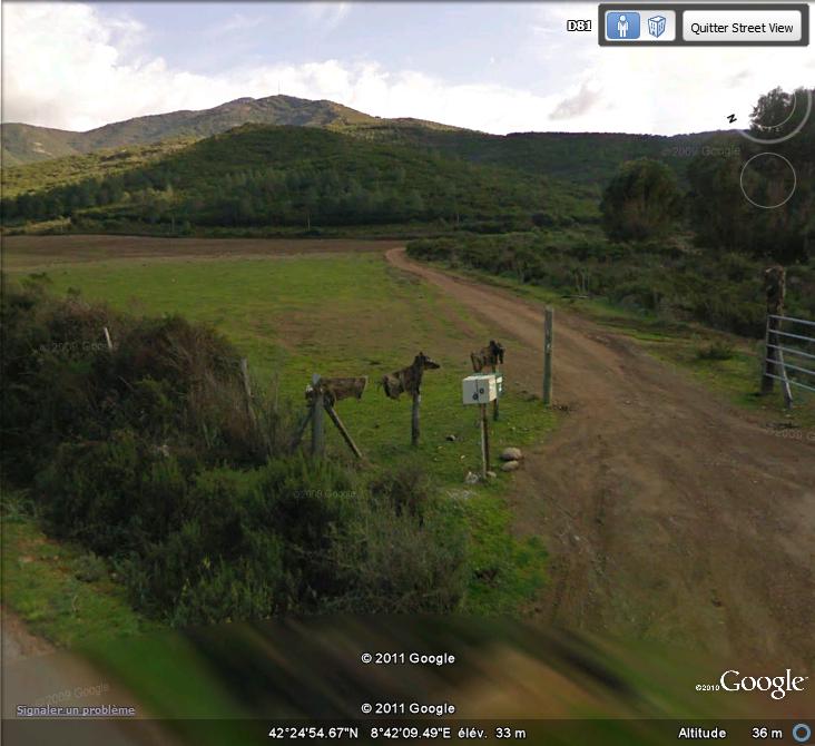 Street View : Mais c'est horrible ( Corse , France ) Sangli10