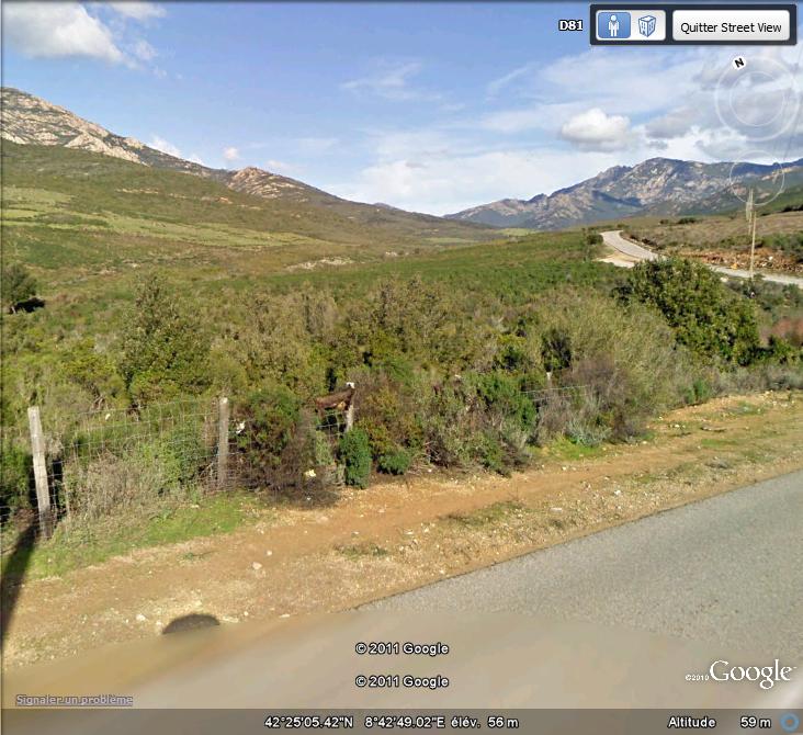 Street View : Mais c'est horrible ( Corse , France ) Sangli11