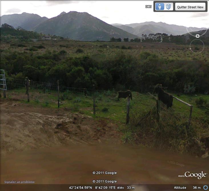 Street View : Mais c'est horrible ( Corse , France ) Sangli12