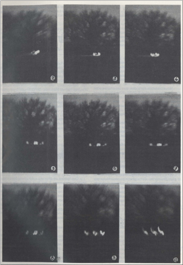 Le cas photographique de La Baule (6 février 1982) Screen15