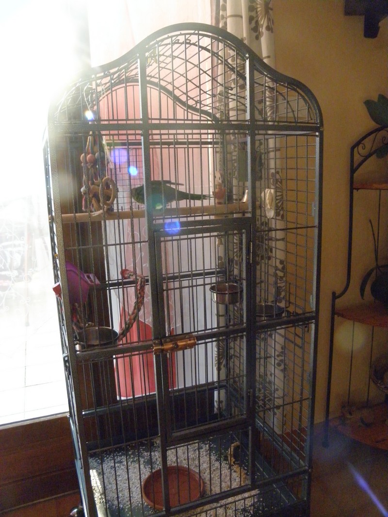 Une nouvelle cage! P8230014