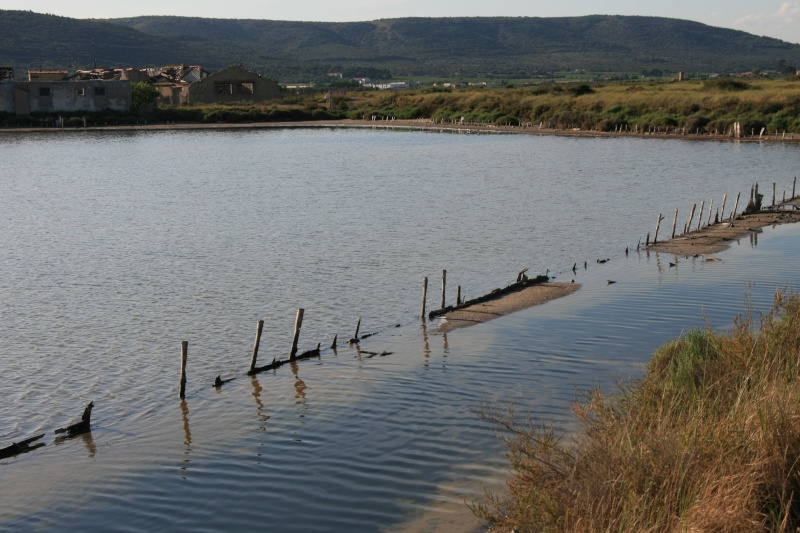 Anciens Salins de Frontignan Img_1216