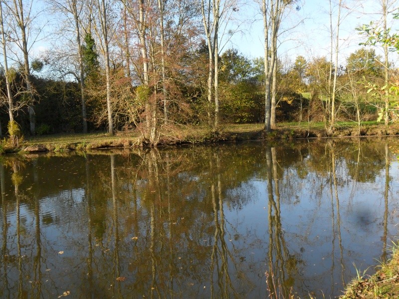 Etang du clos Trans sur Erdre Sam_0210