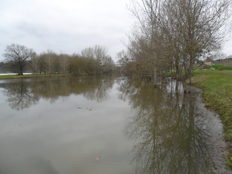 La Loire en crue Sam_0343