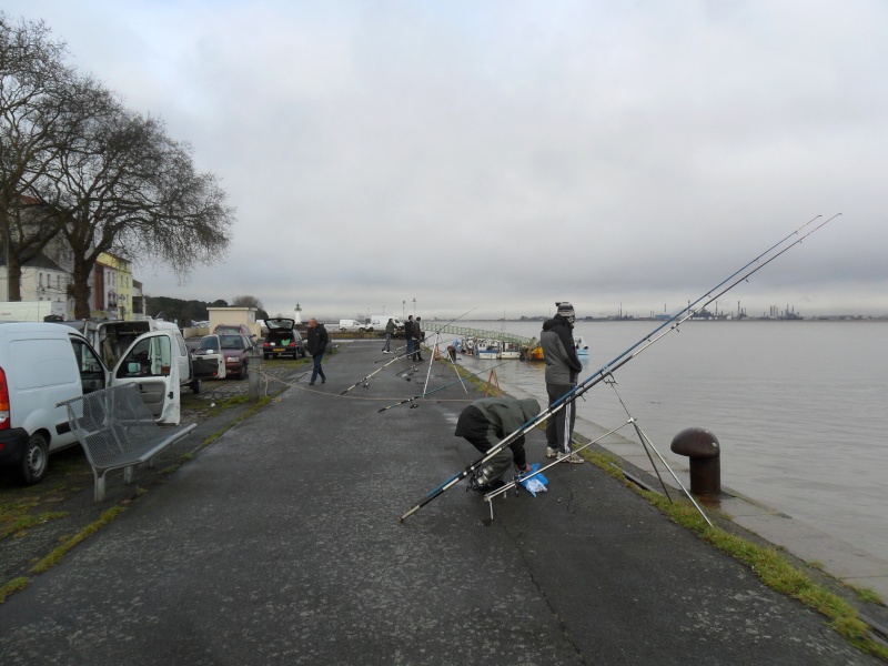 Pêche en estuaire Sam_0429