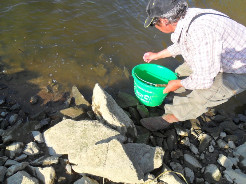 Pêche d'ide en Loire aujourdhui Sam_0497