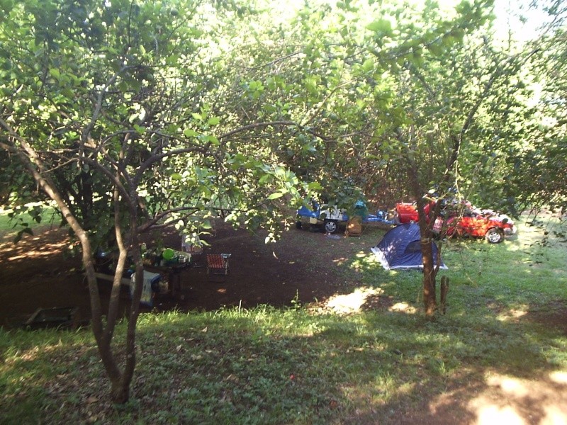 Agro Camping "Alto Uruguay" P1010022