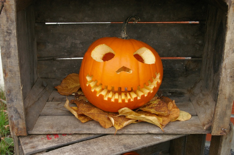 Vos photos : Les belles citrouilles d'Halloween Imgp0412