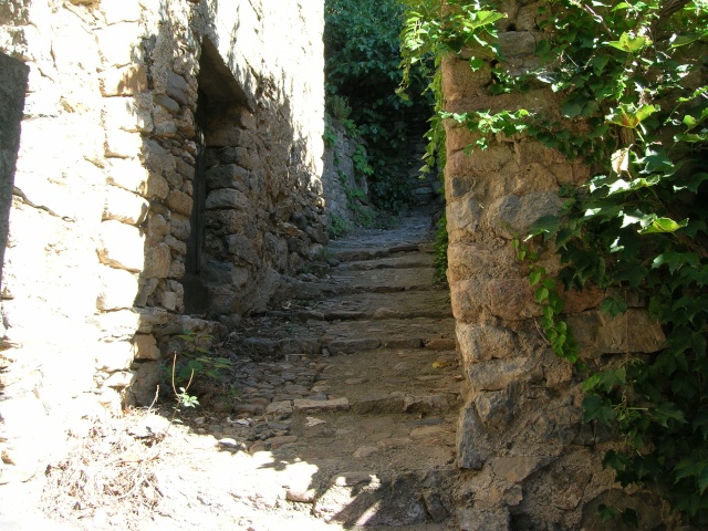 Jardin méditerranéen de ROQUEBRUN Visite20