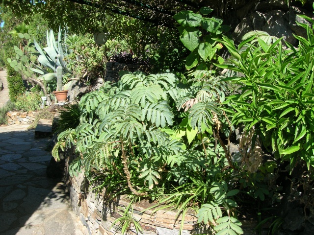 Jardin méditerranéen de ROQUEBRUN Visite37