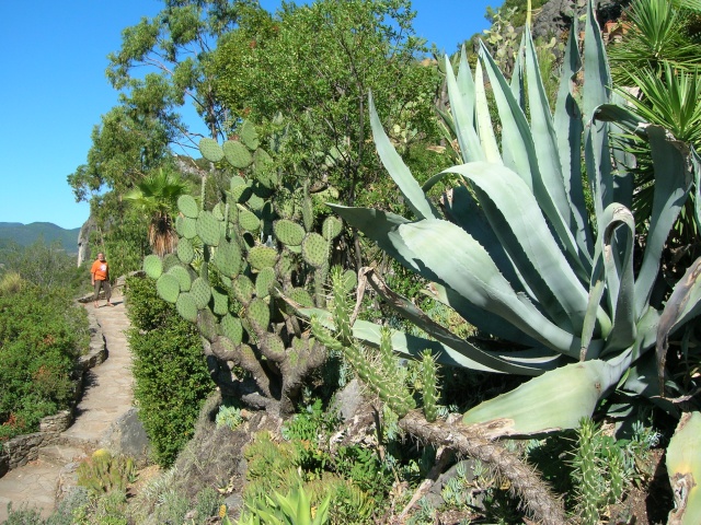 Jardin méditerranéen de ROQUEBRUN Visite38