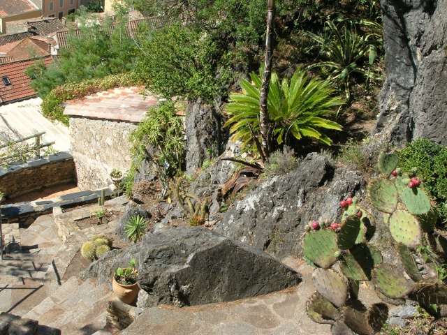 Jardin méditerranéen de ROQUEBRUN Visite42