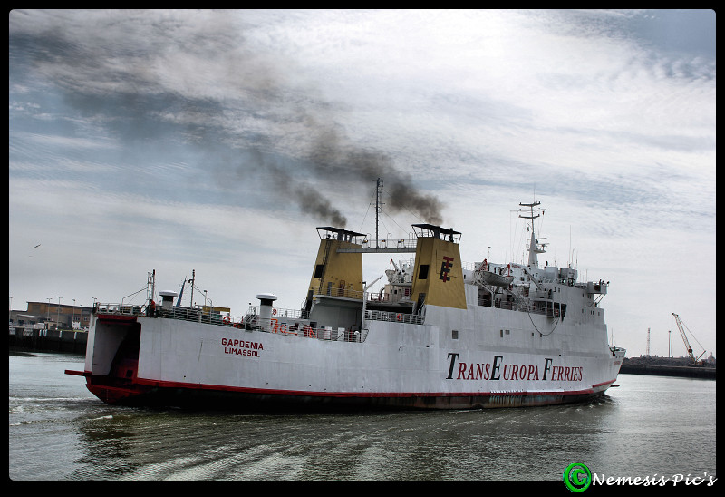 TransEuropa Ferries Img_4111