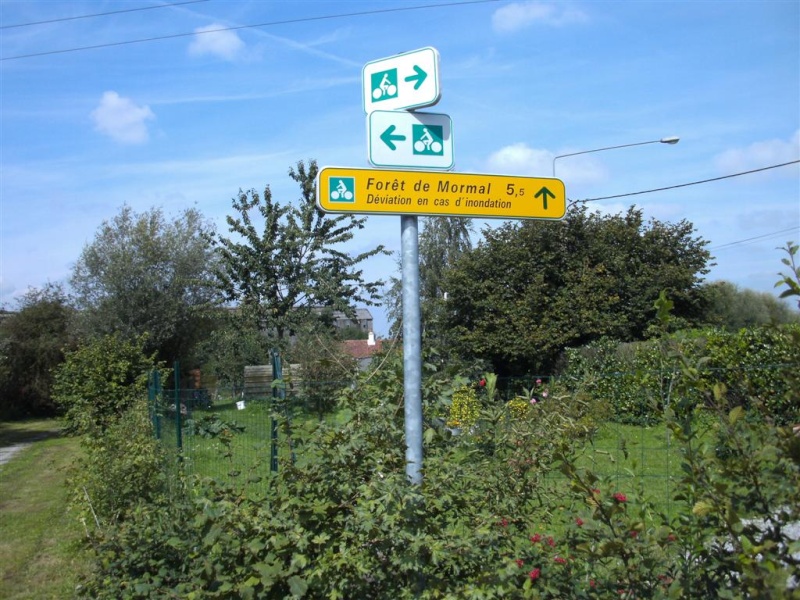 Voie verte de la Sambre 01 Partie Jeumont - Aulnoye-Aymeries (V31 véloroute de la Sambre) Foret_10