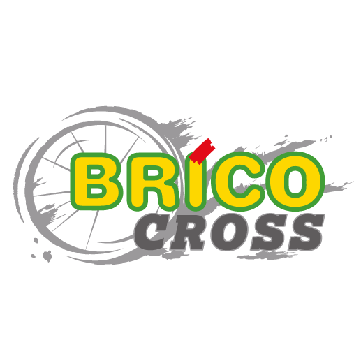 MALDEGEM  -- B --  06.02.2019 1brico10