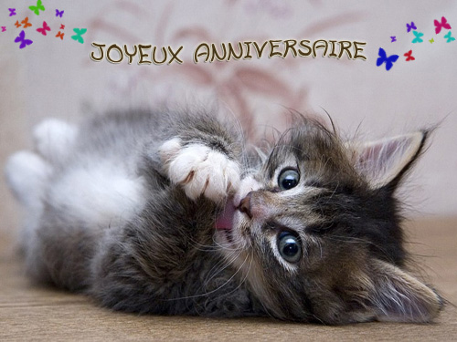 ''Bon et Joyeux Anniversaire!''   Carte_19