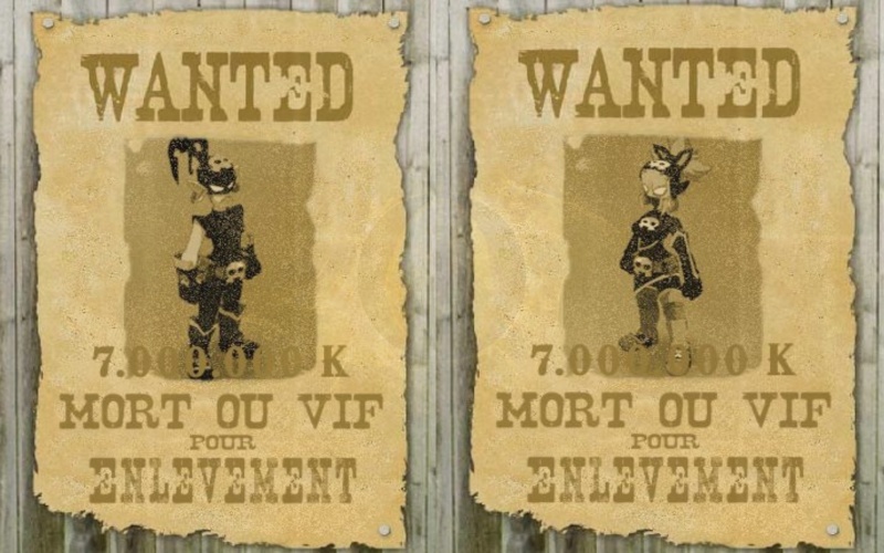 [Event] Saint Ballotin : Wanted ! 12873812