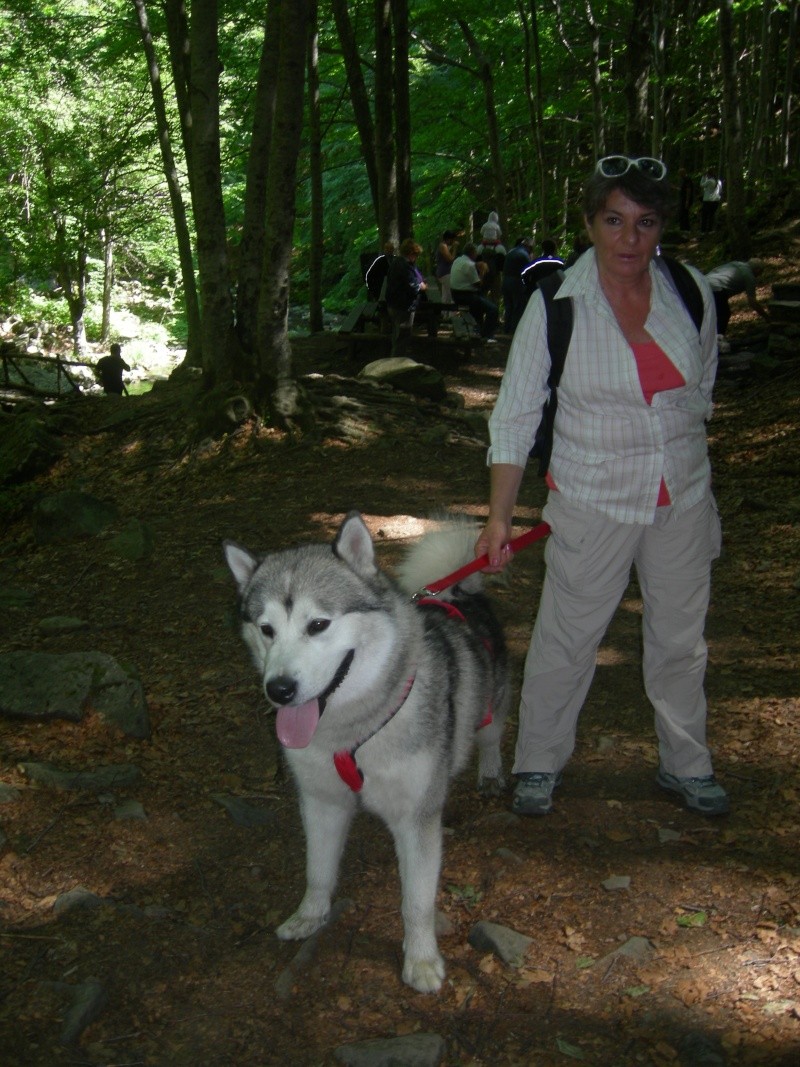 Dog-trekking sull'Appennino Tosco-emiliano Dscn2914