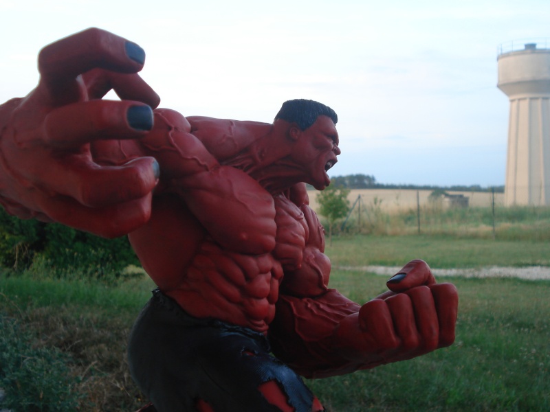 Hulk 1/5 Dsc03812