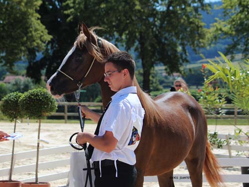 Bourgogne Arabian Event 2011 - Concours Régional D - Page 3 Asma2_10