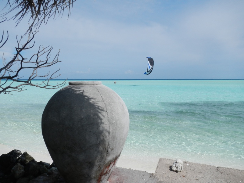 Furax file aux Maldives en 2011 Dscn0811