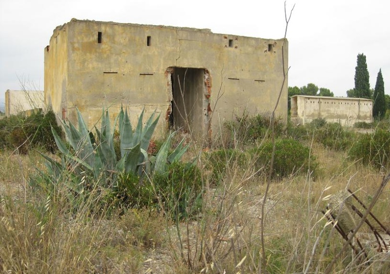 camp d'internement de Rivesaltes Rivesa11