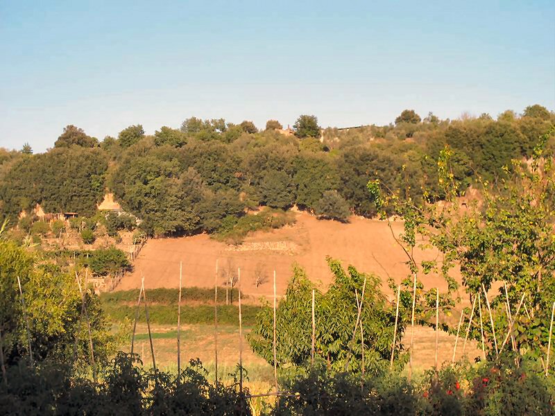 A spasso per le campagne del mio paese nativo...  Foto111