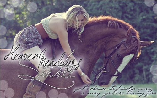 [Anfrage]Heaven Meadows Stable Banner13