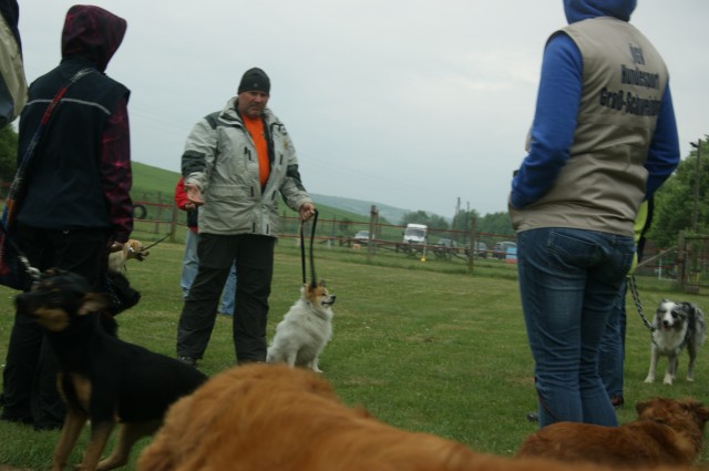 Seminar-ÖGV-Hundeschule, am 12.05.,Gr. Schweibart Dsc05716