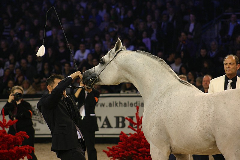 Championnat du monde Paris  2011 - Page 6 Ok_2710