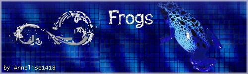 Présentation d'Apolline ♥ Frogs_11