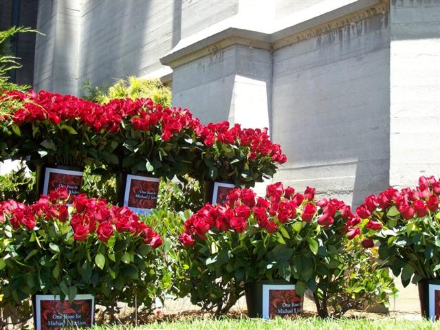 Acheter une rose en l'honneur de Michael Jackson 1911