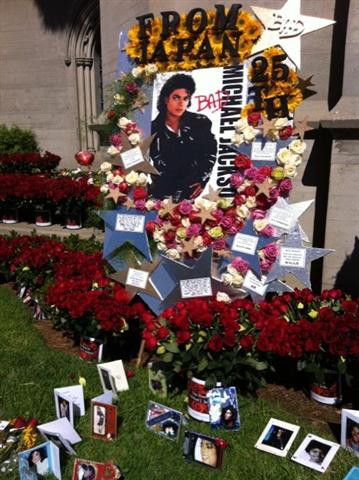 Acheter une rose en l'honneur de Michael Jackson 8610