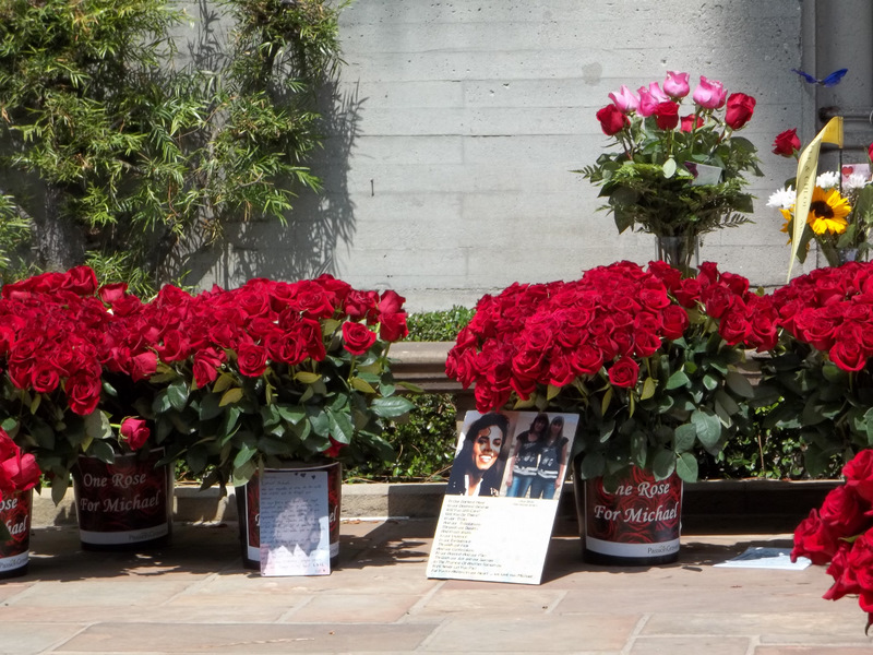 Acheter une rose en l'honneur de Michael Jackson Rose_p11