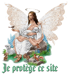 Prière perpétuelle à Saint-Michel Archange pour la protection du forum et de ses membres - Page 5 3xboig10