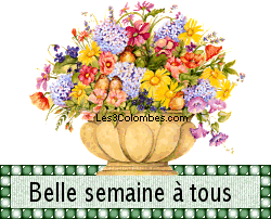 Bonjour à tous Une Parole de vie en ce12 Mars = "ma bouche publiera ta louange " _belle13