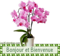 Bonjour à tous Une Parole de vie en ce12 Mars = "ma bouche publiera ta louange " _bonjo14