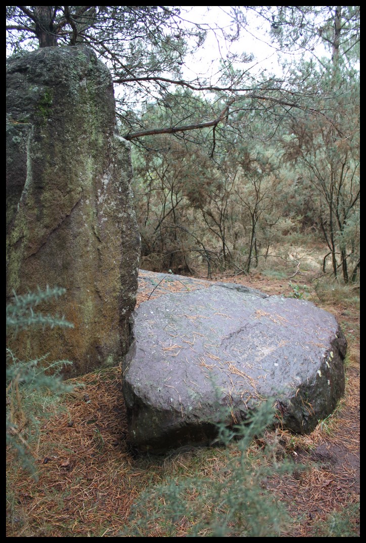 9 ème sortie des Druides 2019 Img_1105