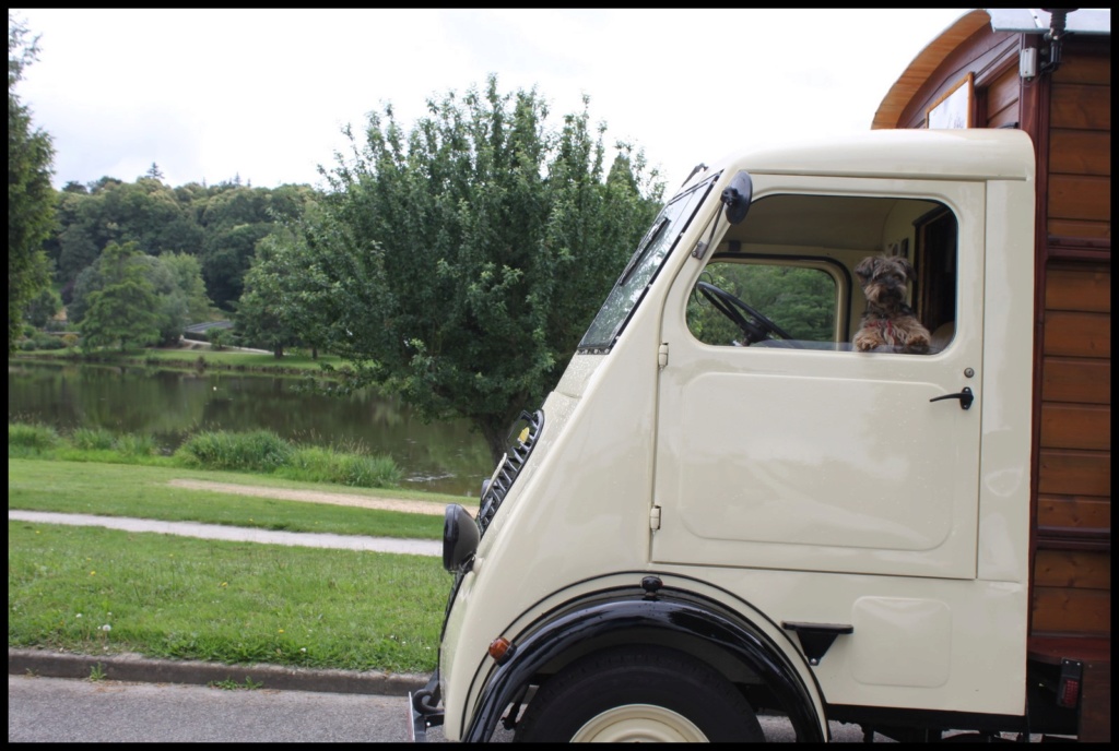 notre balade en Q3A PEUGEOT de 1949 Img_3627