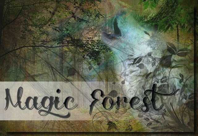 Magic Forest