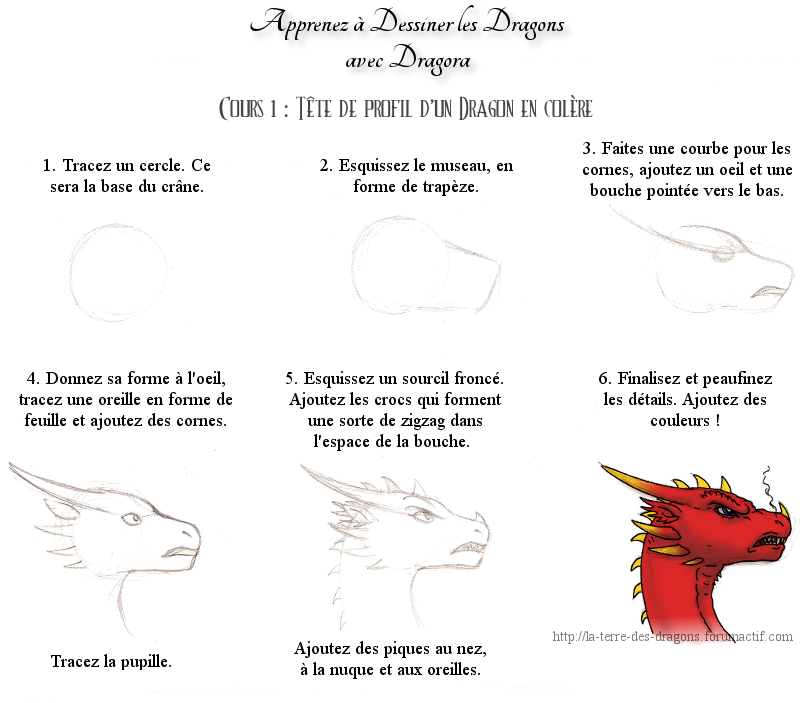 Apprenez à dessiner les Dragons avec Dragora Tete-d10