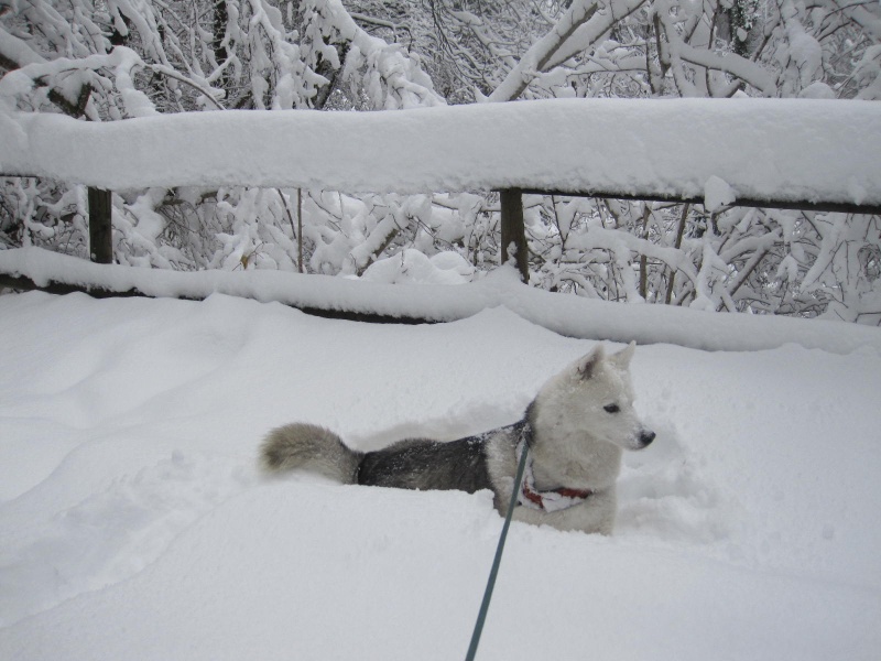 Saskia dans la neige en décembre 2011 1018