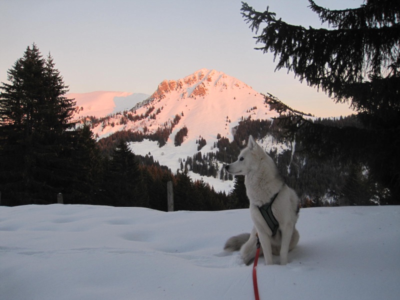 Saskia dans la neige en décembre 2011 1023