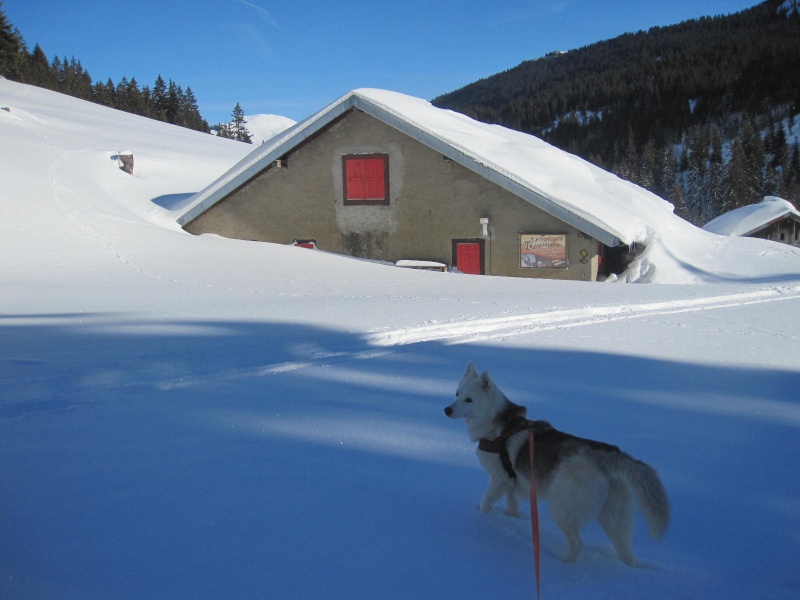 Saskia dans la neige à Morgins 1025