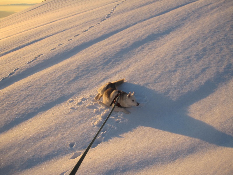 Saskia dans la neige en décembre 2011 1222