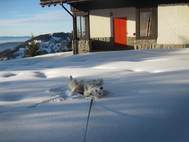 Saskia dans la neige en décembre 2011 124